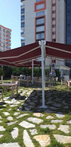 Ankarada-Kepenk- 2020-07-01 at 16.42.15 ()